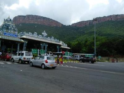 Entrance check point at Seshachalam hills