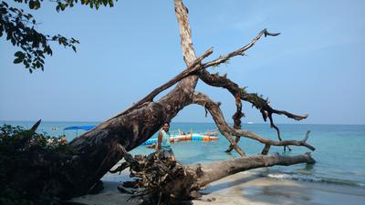 Elephant Island