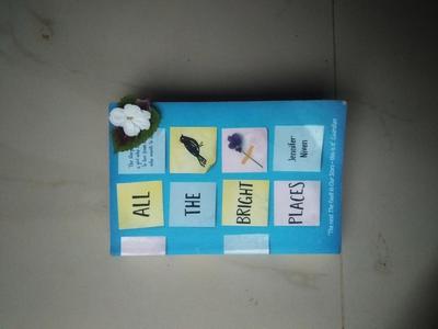 all the bright places book pages