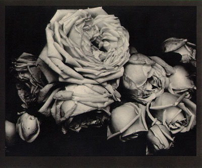 The Wilting Flowers
