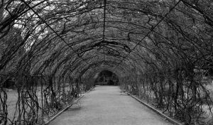 An empty path