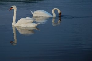 Loveliness in friendship, enchanting...