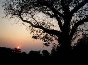 Another day passes as the sun sets at Kolkata