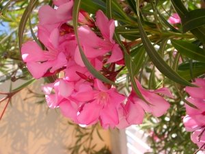 The everything in nothingness : Love